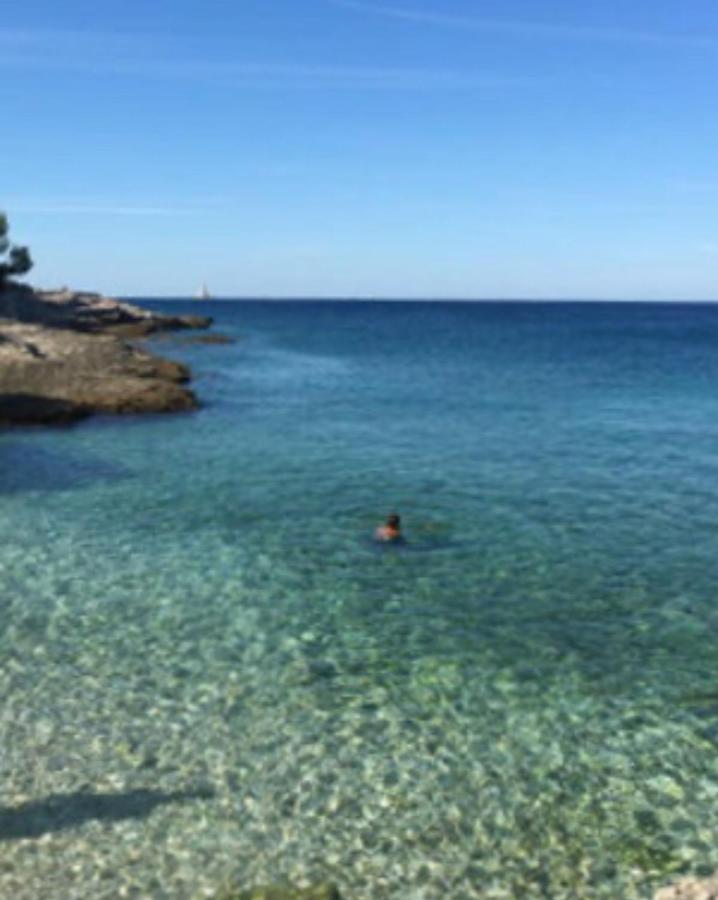 شقة Jabuka بنجول المظهر الخارجي الصورة